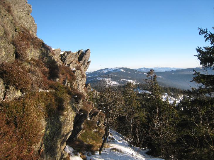 Sněžnice